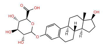 Estradiol glucuronide